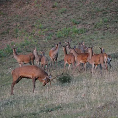 La Grange De Melaual