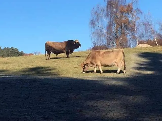 La Grange De Melaual Semesterbostad Soulages-Bonneval