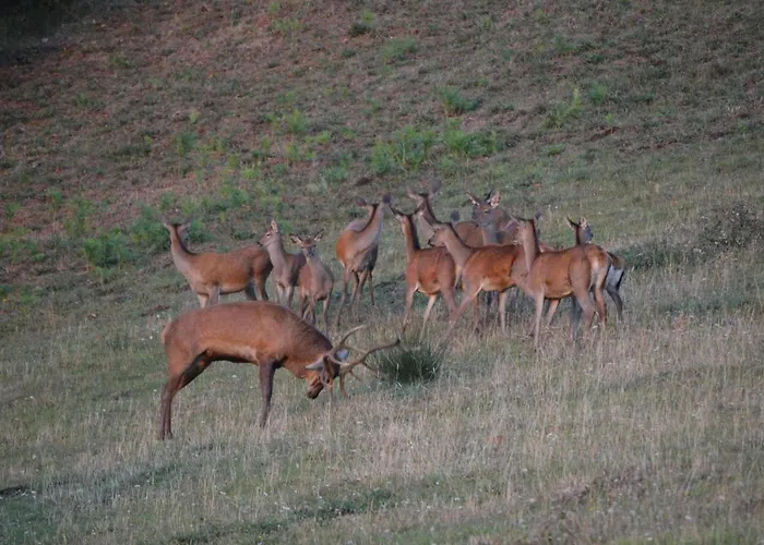 La Grange De Melaual